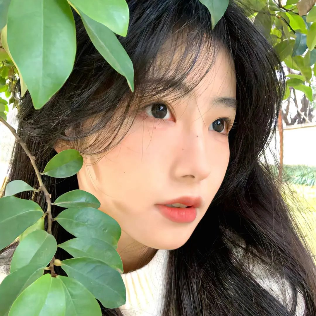 竞选风云
